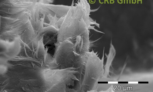 SEM-afbeelding chrysotiel asbest in afdichting | © CRB Analyse Service GmbH