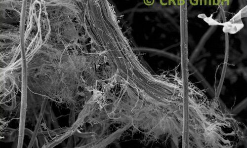 SEM foto chrysotiel asbest in vilt | © CRB Analyse Service GmbH